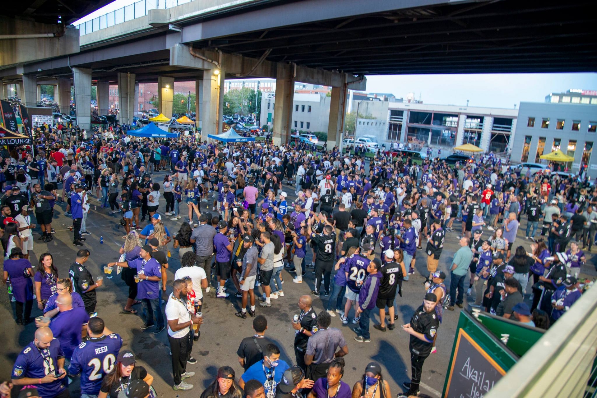 Picture of The TailGOAT! Ravens v Bengals