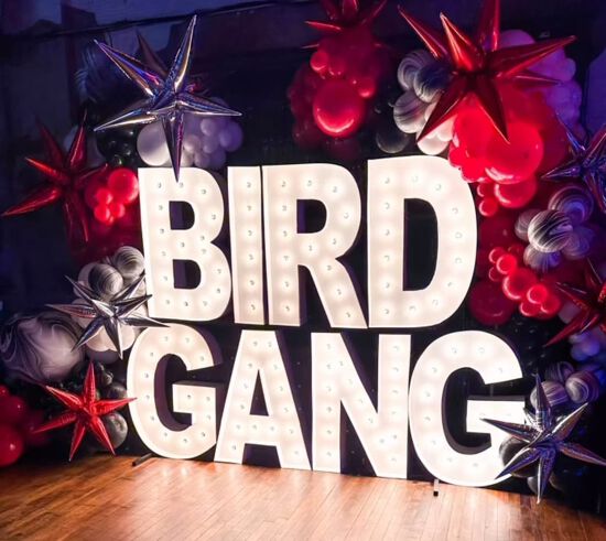 birdgangaldkajf
