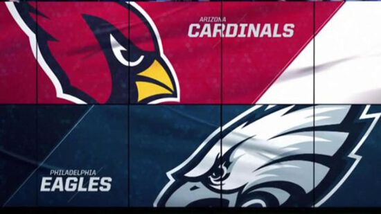 eagles